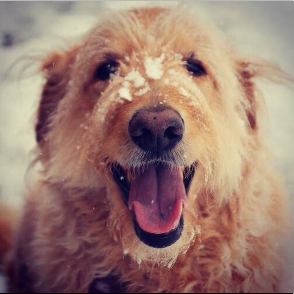 Meet your Posher, Mari